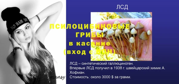соль ск Бугульма