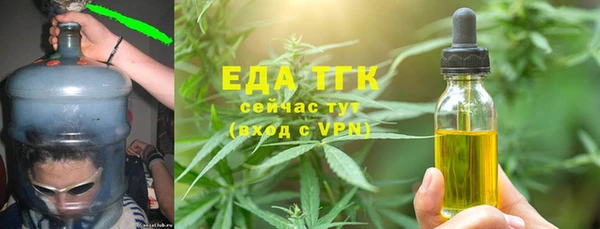 молекула духа Бородино