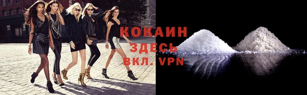 молекула духа Бородино