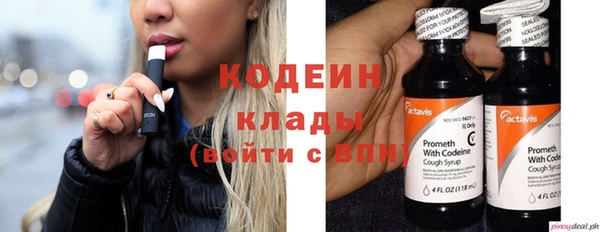 молекула духа Бородино