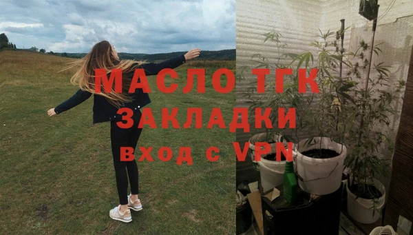молекула духа Бородино