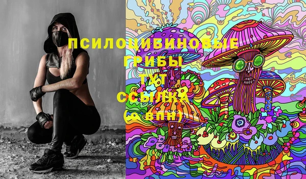 молекула духа Бородино