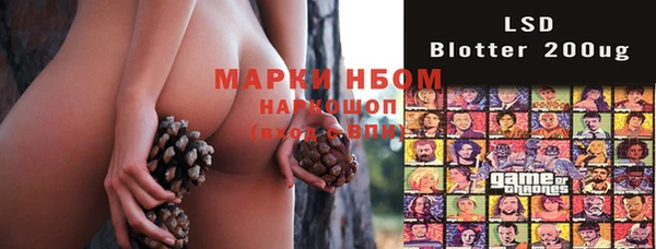 молекула духа Бородино
