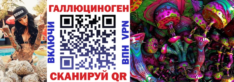 Галлюциногенные грибы Psilocybe  omg ссылки  Гуково 